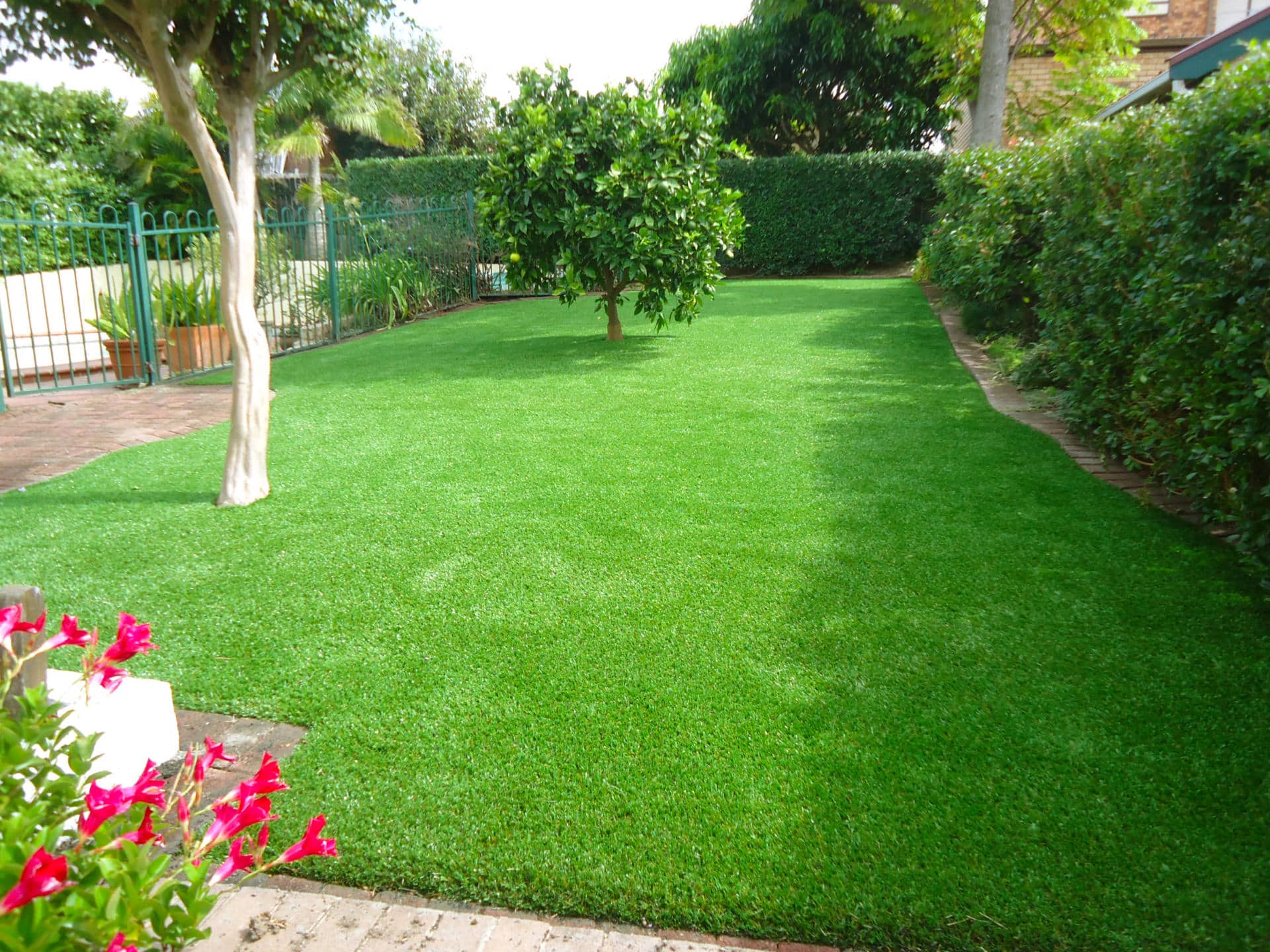 Understanding The Pros And Cons Of Synthetic Lawn