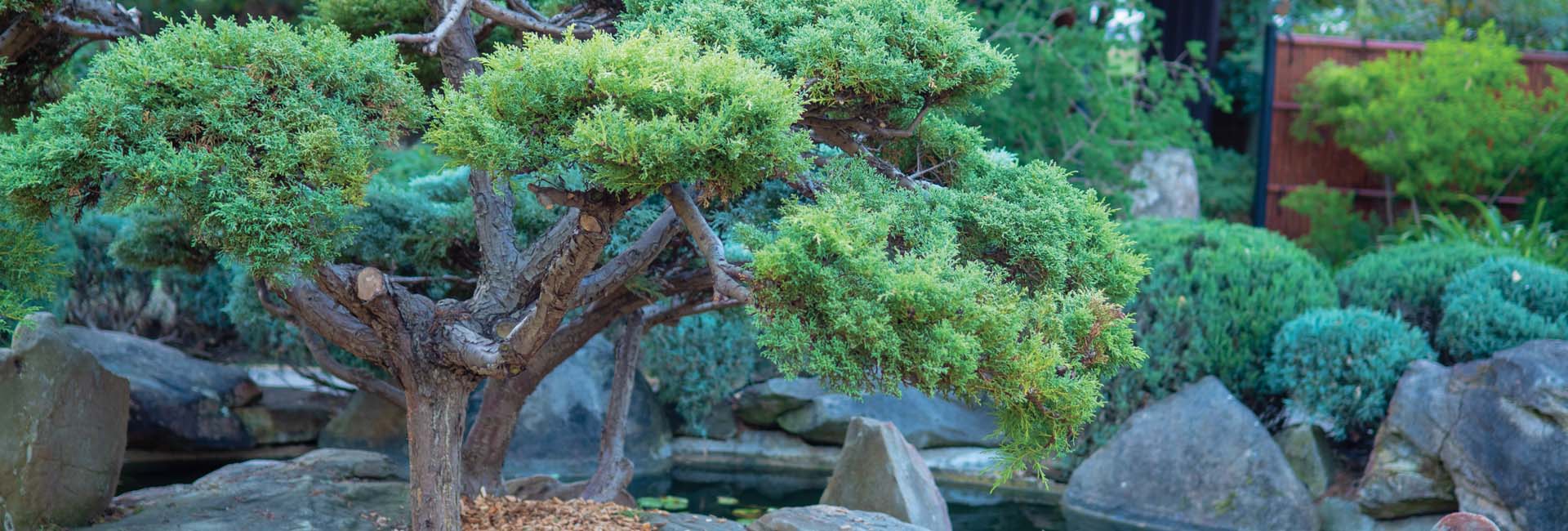 Easy DIY Zen Garden // Bonsai Tree, Faux Waterfall, Rock Feature 